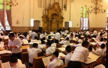 בין ויז'ניץ לפונוביז'-הכנות לחג הסוכות (2)