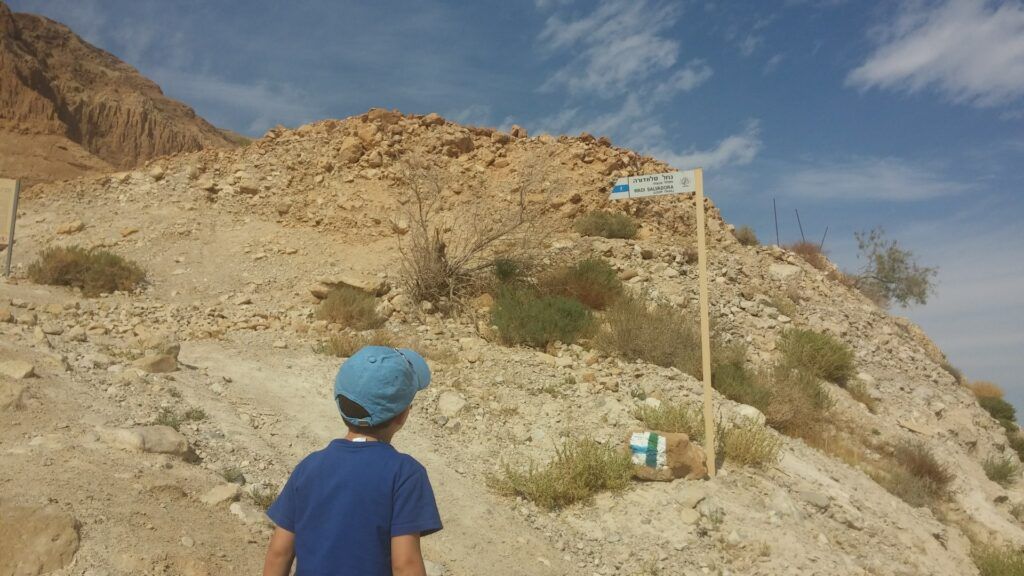 צילום: אסנת אל-עז