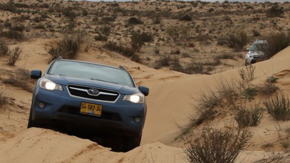 תמונה של 4x4 ברמת הנגב: מרמת חובב ועד לחולות שונרה - טיולי