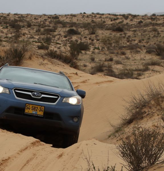 תמונה של 4x4 ברמת הנגב: מרמת חובב ועד לחולות שונרה - למטייל בישראל (טיולי)