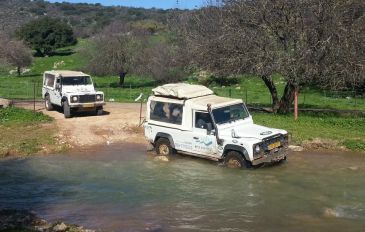 חצבני: טיולי ג'יפים וחוויות שטח (3)