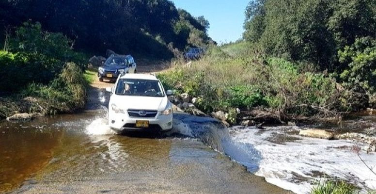 טיול בין מעיינות נסתרים בהרי ירושלים
