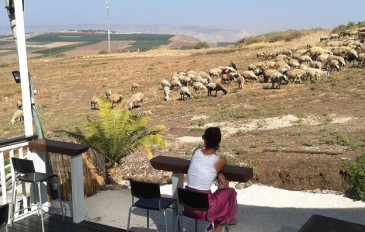 מגלים את התבור: 7 עצירות שוות בדרך לכנרת (2)