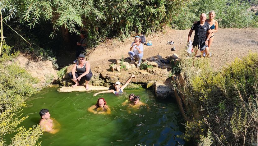 פריטור טיול מים במעיינות יער עמינדב (1)