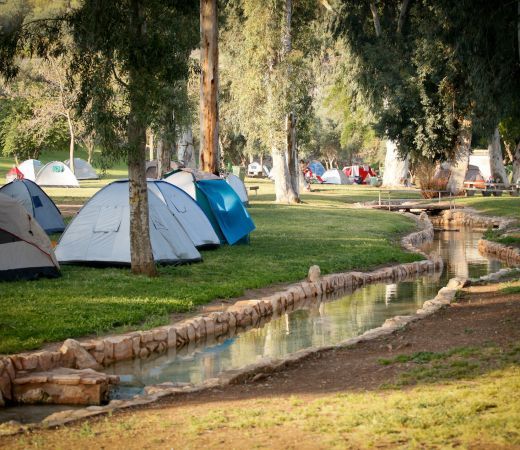 תמונה של קו ראשון למים: אתרי הקמפינג שנמצאים ליד מקורות מים מרעננים - למטייל בישראל (טיולי)