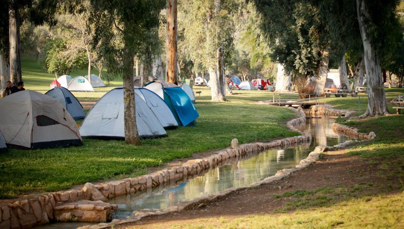 קמפינג בגן לאומי מעיין חרוד - קו ראשון למים: אתרי הקמפינג שנמצאים ליד מקורות מים מרעננים (1)