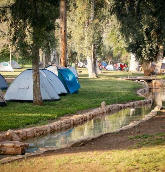 תמונה של קו ראשון למים: אתרי הקמפינג שנמצאים ליד מקורות מים מרעננים - למטייל בישראל (טיולי)