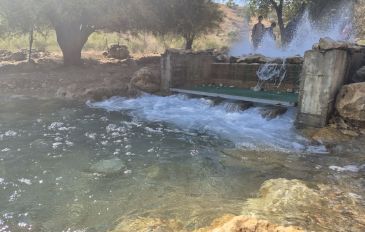 המוביל ההפוך, נחל צלמון תחתוןו - נחל צלמון: עין רביד - נקודת המוצא של המוביל ההפוך (3)