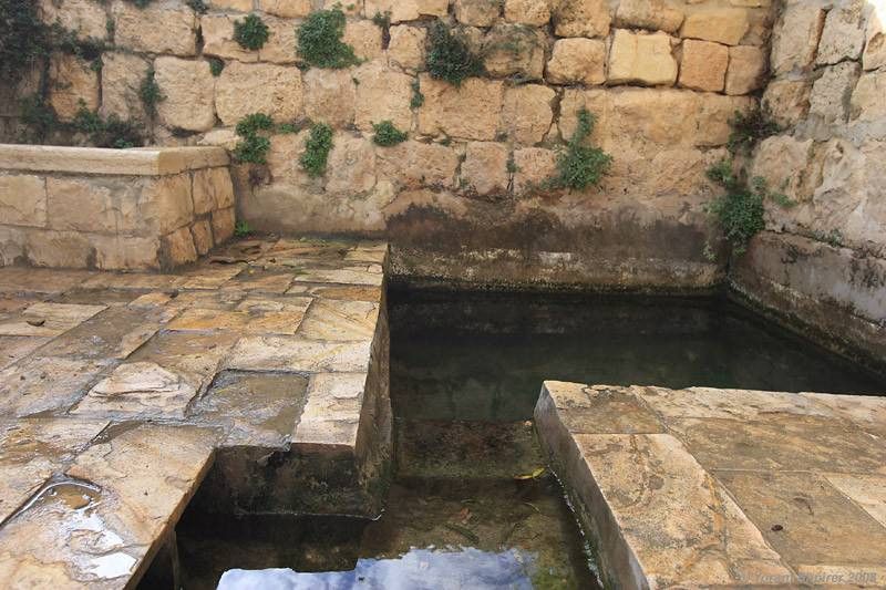 לטבול רגליים בעין חובלה | צילום: יורם שפירר