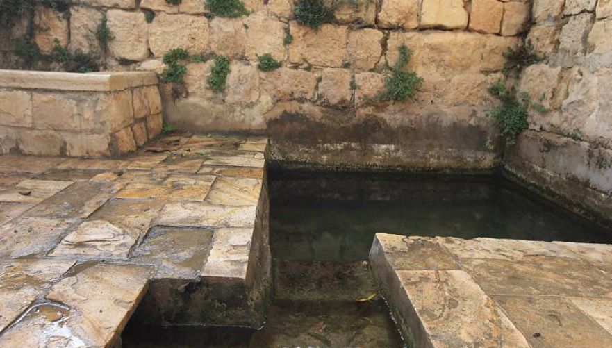לטבול רגליים בעין חובלה | צילום: יורם שפירר