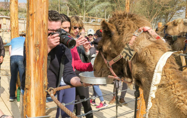 פסטיבל נוודי המדבר: הפנינג סדנאות מדבריות בחול המועד סוכות (3)