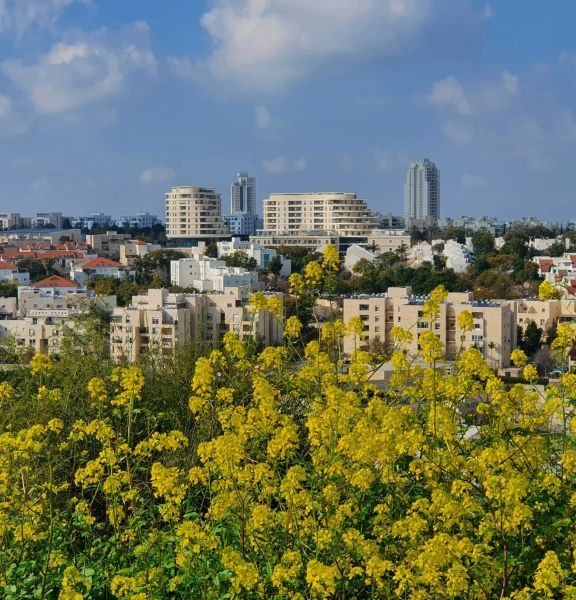 תמונה של גבעת התיתורה במודיעין - למטייל בישראל (טיולי)