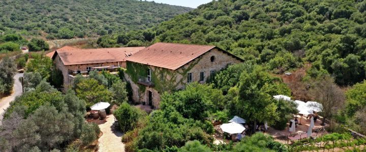 יקב אמפורה: טוסקנה בישראל (1)