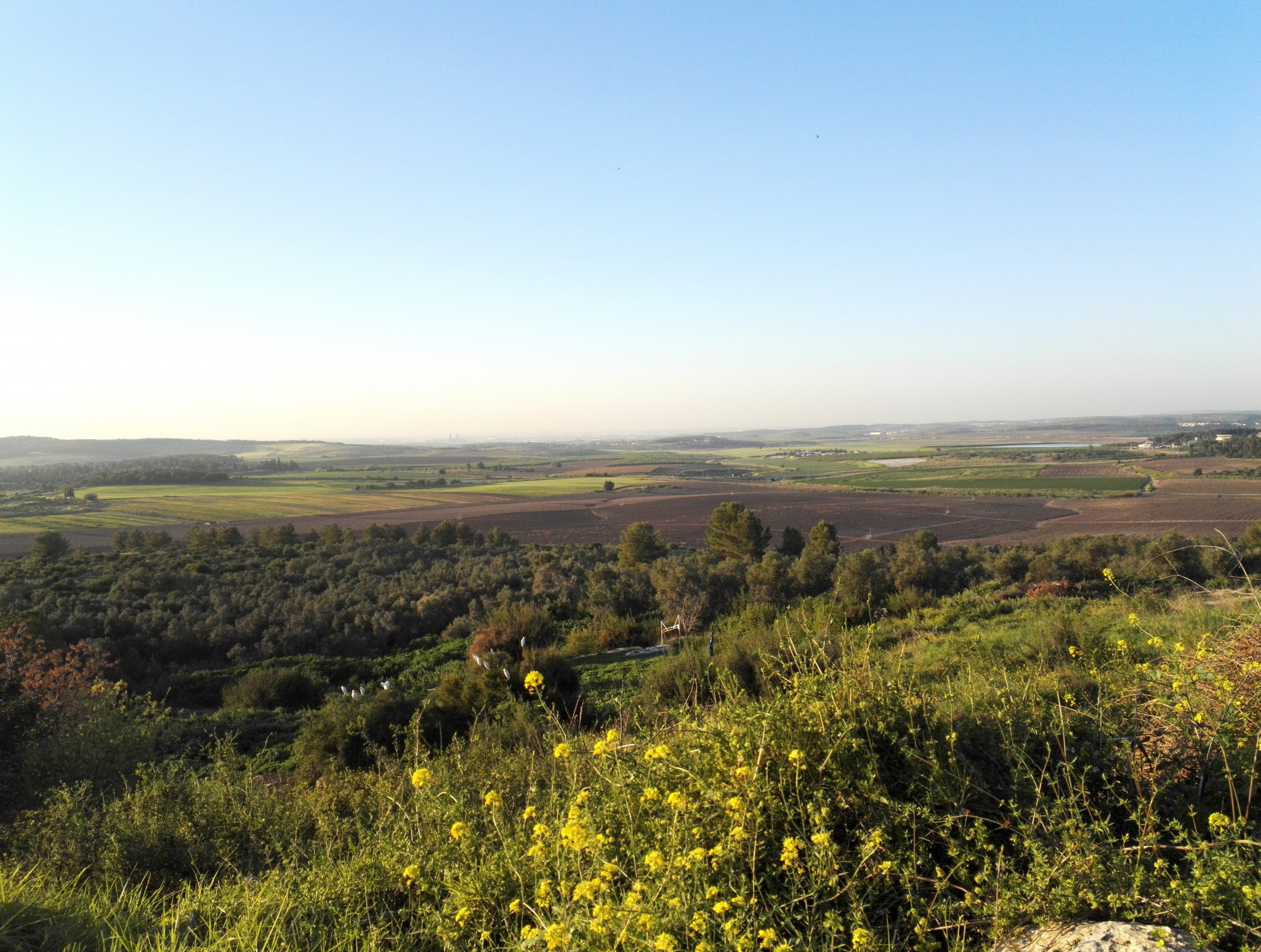 מנופי נווה שלום | צילום: אינה מנשה