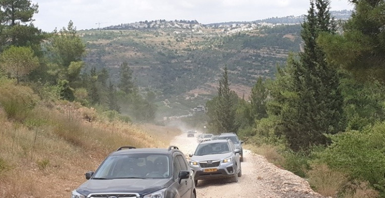 בין פסגות הרי ירושלים