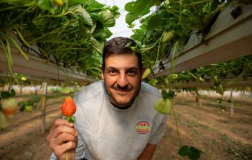 פסחקלאי 2025 בצפון הנגב (3)