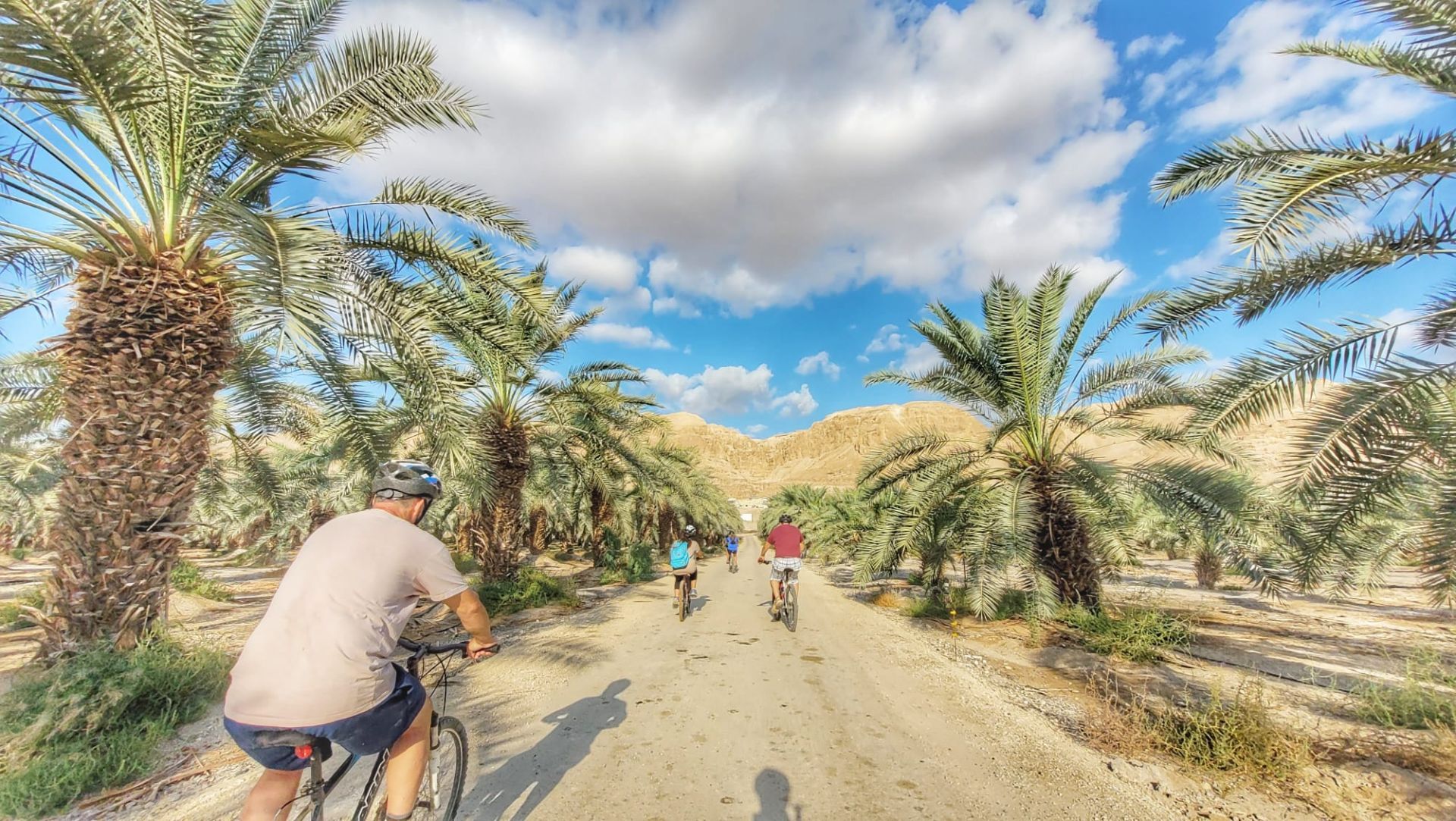 אקסטרים במדבר יהודה | צילום: נתנאל שלזינגר