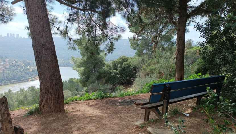 תצפית הספסל מעל סכר בית זית (1)
