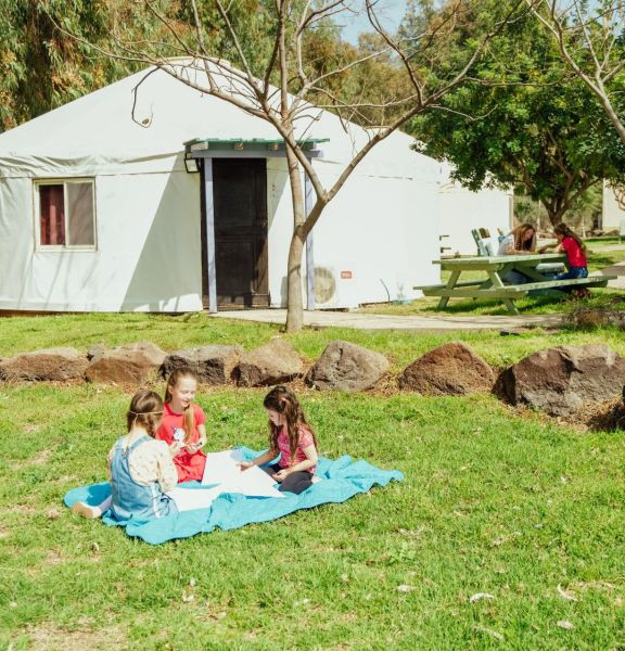תמונה של מונגוליה בישראל: 8 יורטים ברמת הגולן שאתם חייבים להכיר - למטייל בישראל (טיולי)
