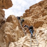 עליה בנחל תמר