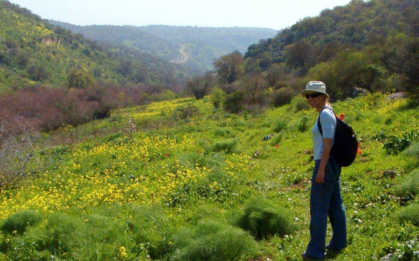 תמונה מתוך תוכן באתר למטייל בישראל (טיולי)