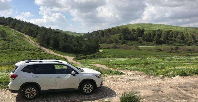 טיול 4X4 רטוב לאורך נחל תנינים