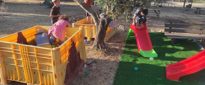 קטיף עצמי ביכורי שילה: חוויה לכל המשפחה (1)