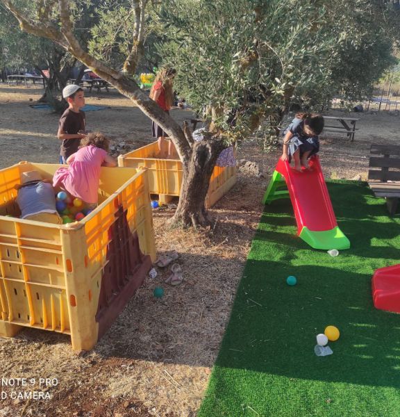 תמונה של קטיף עצמי ביכורי שילה: חוויה לכל המשפחה - למטייל בישראל (טיולי)