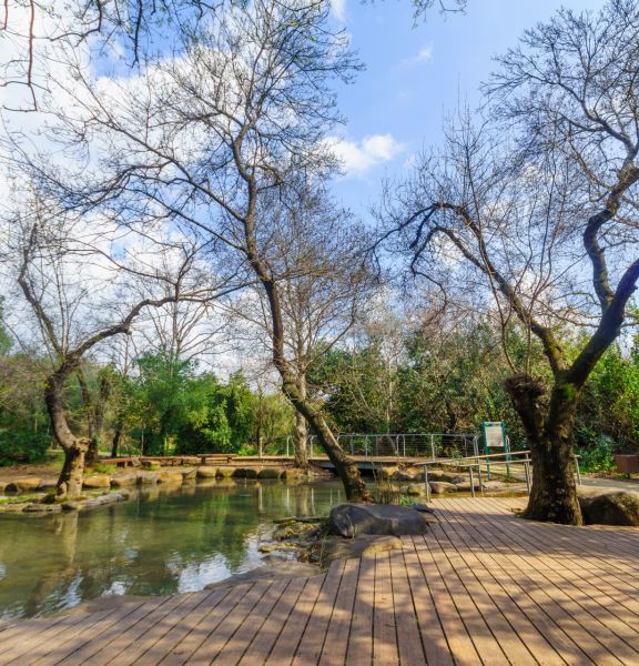 תמונה של כולם יכולים: 10 מסלולים כיפיים למטיילים עם מוגבלויות - למטייל בישראל (טיולי)