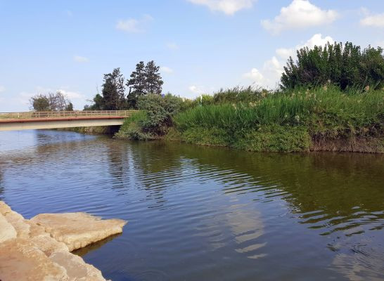 נחל אלכסנדר | צילום: לירון בונאנו שטרן