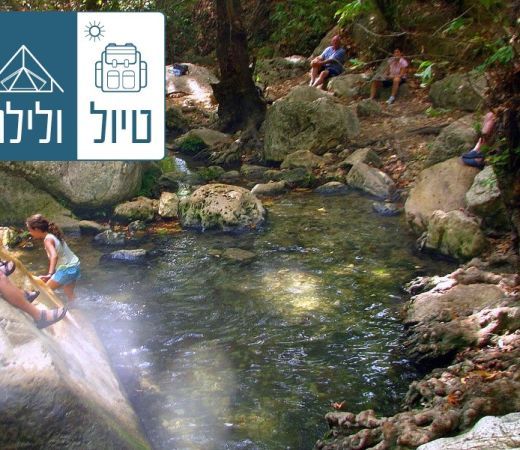 תמונה של טיול ולילה: זורמים עם נחל עמוד - למטייל בישראל (טיולי)
