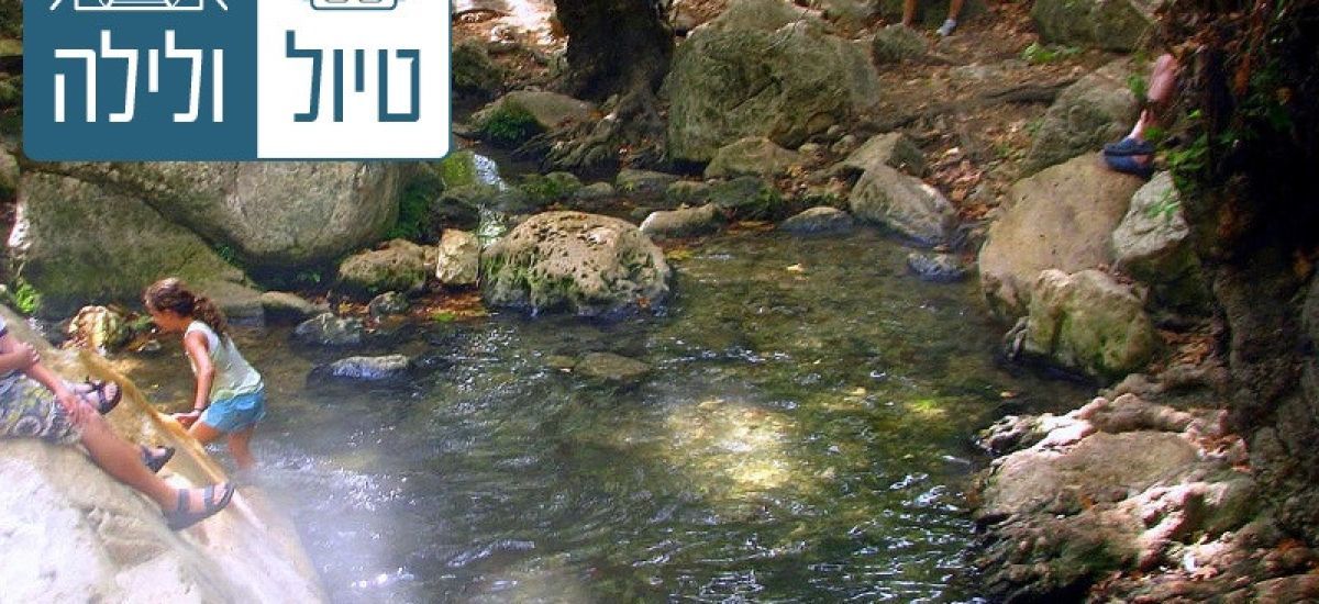 טיול ולילה: זורמים עם נחל עמוד (1)