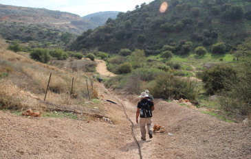 קטע מספר 5: מחניון נחל עמוד לעין נון (2)