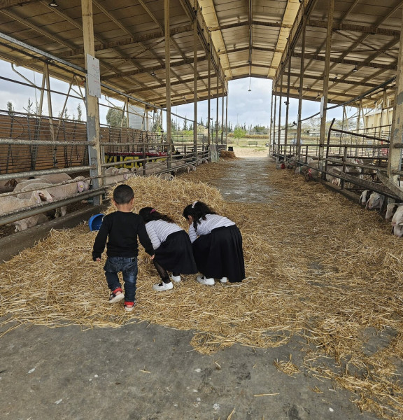 תמונה של שבועות בוואדי עתיר: חגיגה של טבע, מלאכה ומסורת - למטייל בישראל (טיולי)