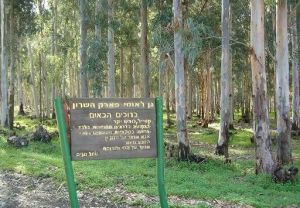 פארק השרון ויער חדרה