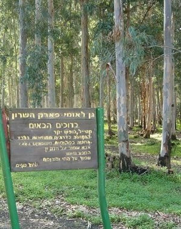 תמונה של פארק השרון ויער חדרה - למטייל בישראל (טיולי)
