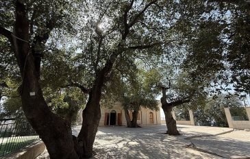 קבר נבי חזורי - מהחרמון ועד אילת: מורה הדרך בוחר 7 מקטעים שלא כדאי לפספס בשביל ישראל (2)
