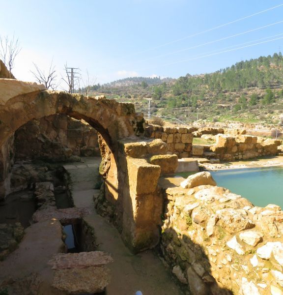 תמונה של עין חניה - למטייל בישראל (טיולי)