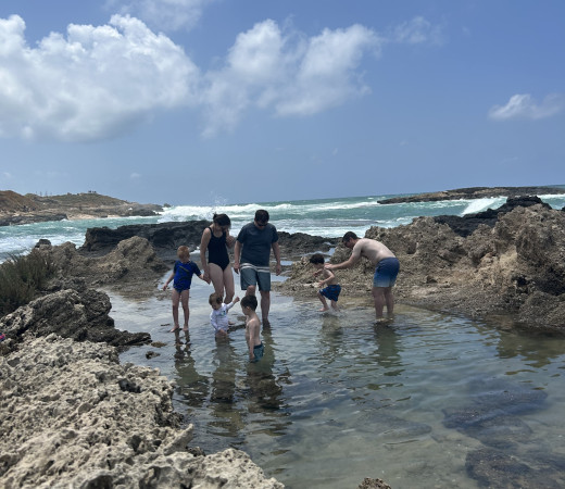 תמונה של פותחים שנת טיולים: 7 פעילויות שכל המשפחה תאהב החודש - למטייל בישראל (טיולי)