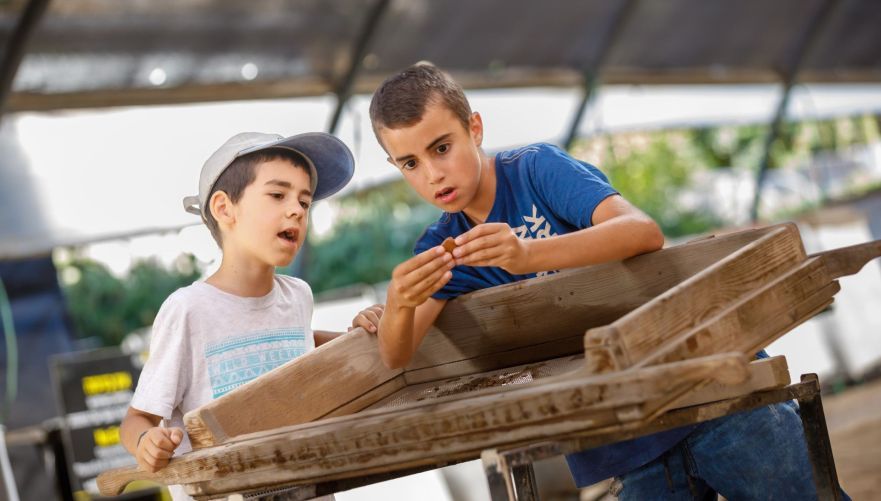 צילום: אליהו ינאי