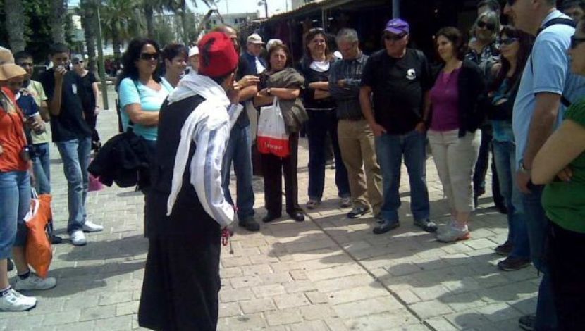 אורן בהמחזה ליד מסגד גז'אר. - בין ריצ'רד לב הארי ל