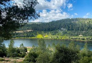 מאגר בית זית: המקום המושלם לפיקניק