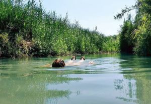 עין אביאל: טבילה מרעננת קרוב לבית