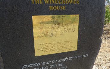 תל בית צידה - פארק הירדן - תל בית צידה – פארק הירדן (3)