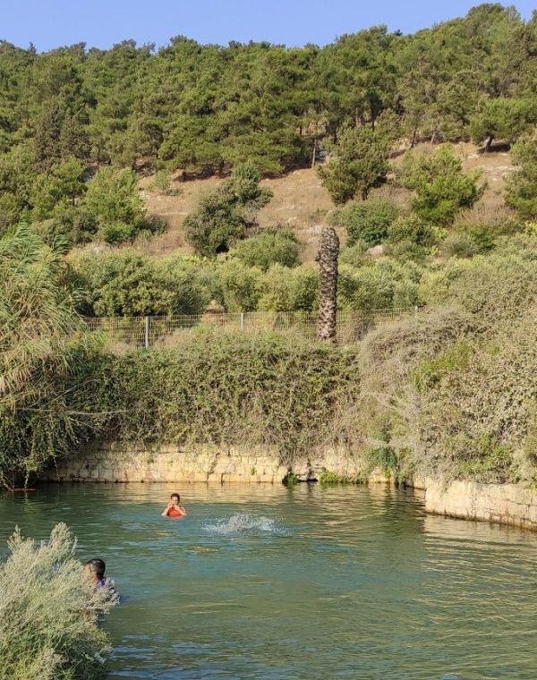 תמונה של עין יבקע: הכי מרענן בעמק יזרעאל - למטייל בישראל (טיולי)