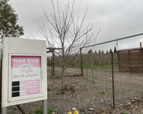 תמונה מתוך למטייל בישראל (טיולי)