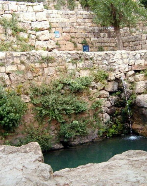 תמונה של סטף - למטייל בישראל (טיולי)