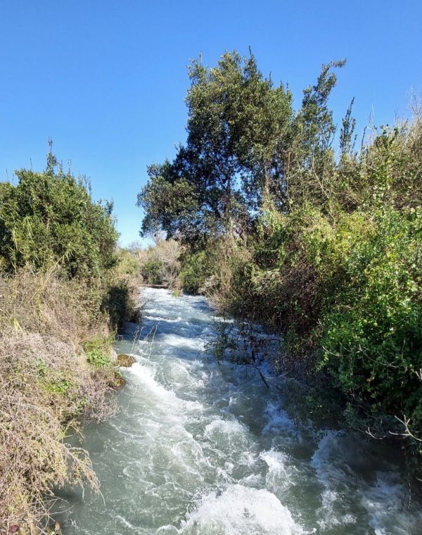 תמונה של תל דן: משתכשכים במים - למטייל בישראל (טיולי)