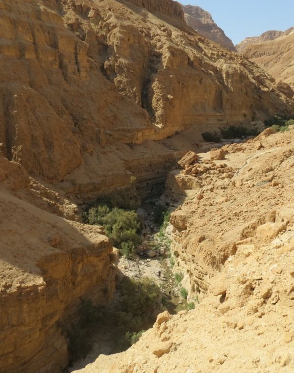 תמונה של נחל ערוגות - למטייל בישראל (טיולי)