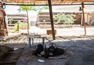 המעגל CAMP